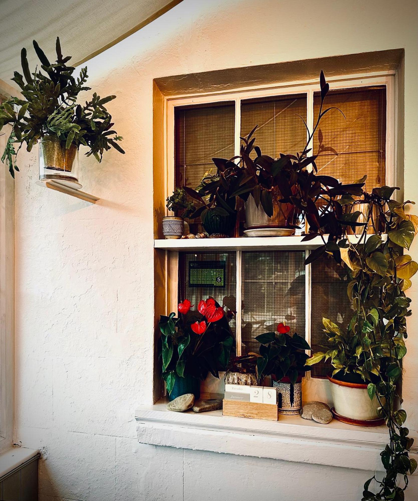 The Laindons Bed and Breakfast Hastings Eksteriør billede